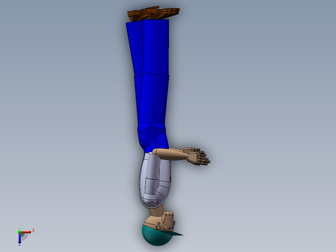 人体模型(43)俯视图