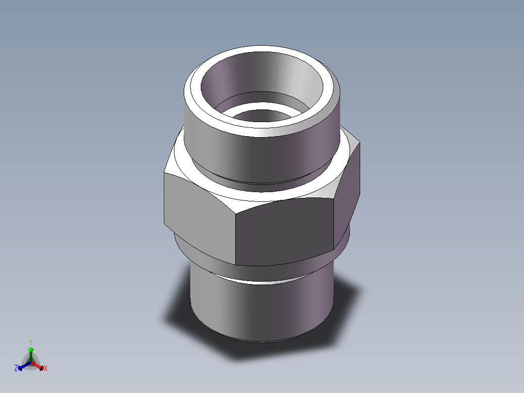 公制螺纹ED密封、1DM-24-22WD正等轴测图