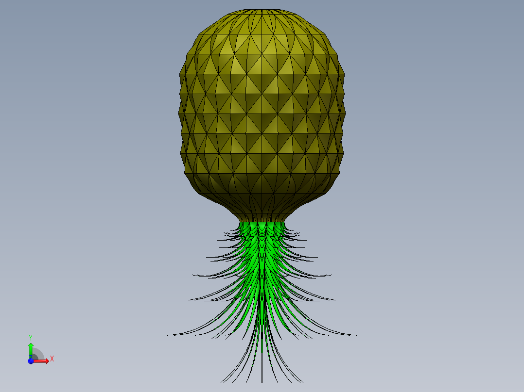 菠萝（扫描和放样练习前视图