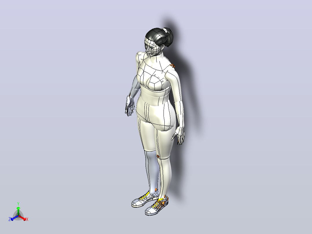 胫骨髓内钉模型3D图纸模型主视图