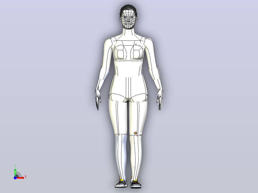 胫骨髓内钉模型3D图纸模型前视图
