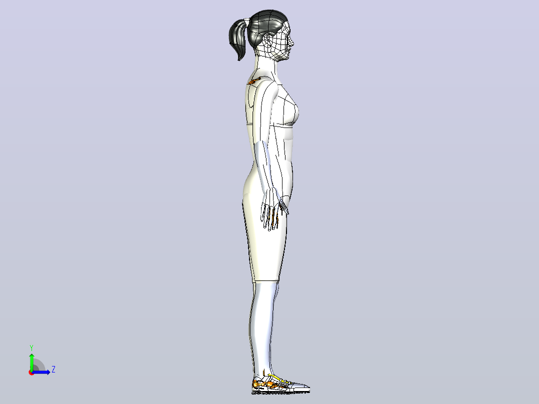 胫骨髓内钉模型3D图纸模型左视图