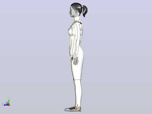 胫骨髓内钉模型3D图纸模型右视缩略图