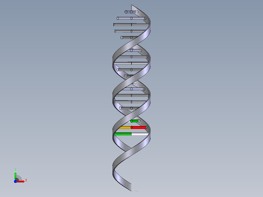 生物双螺旋DNA结构1前视图