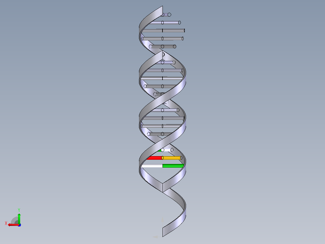 生物双螺旋DNA结构1后视图
