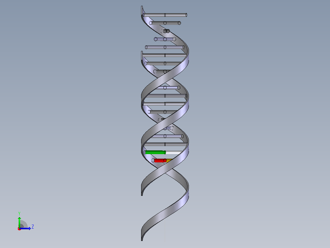 生物双螺旋DNA结构1左视图