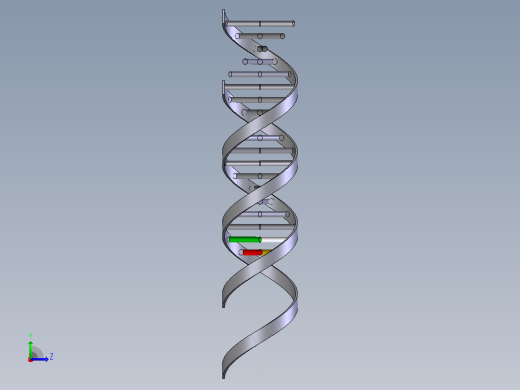 生物双螺旋DNA结构1左视缩略图