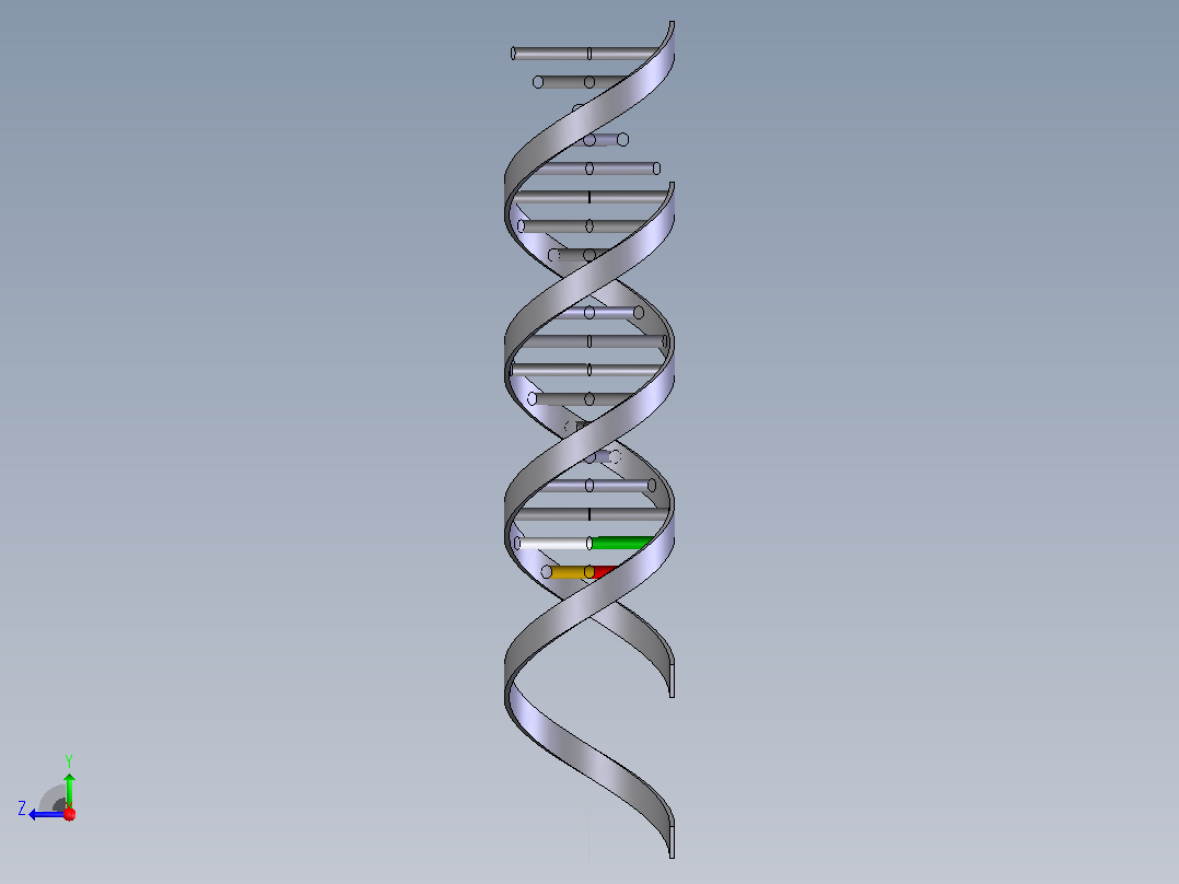 生物双螺旋DNA结构1右视图