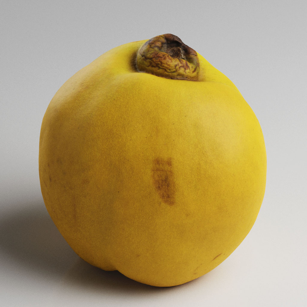 1_018Quince_01_4K水果蔬菜面包坚果