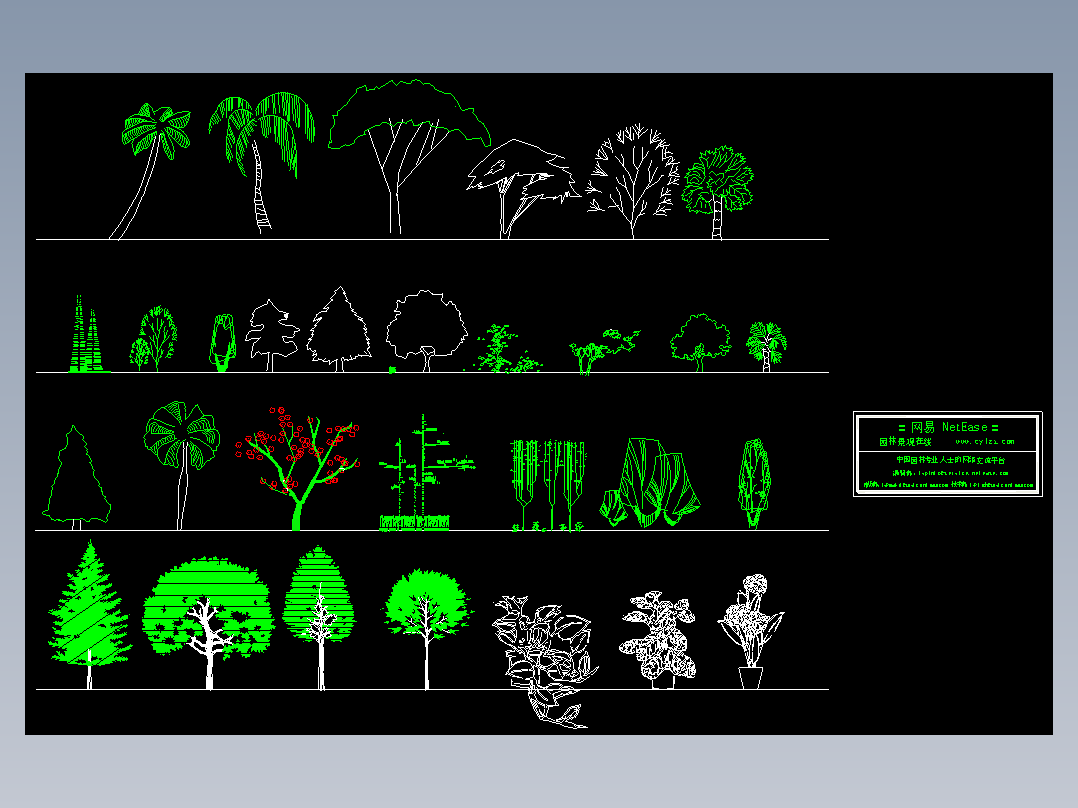 园林立面植物图例