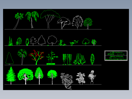 园林立面植物图例