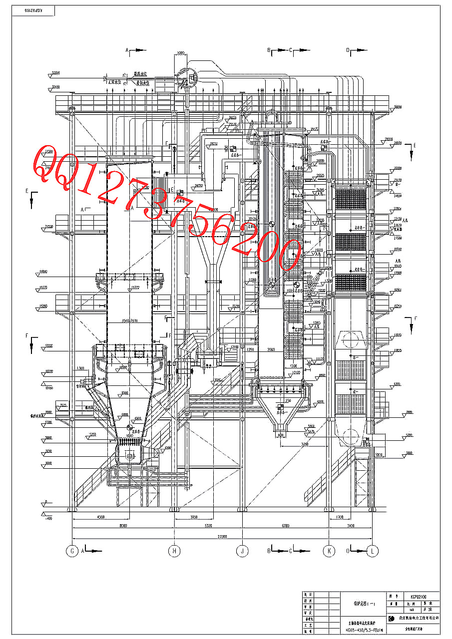 生物质发电厂锅炉总图