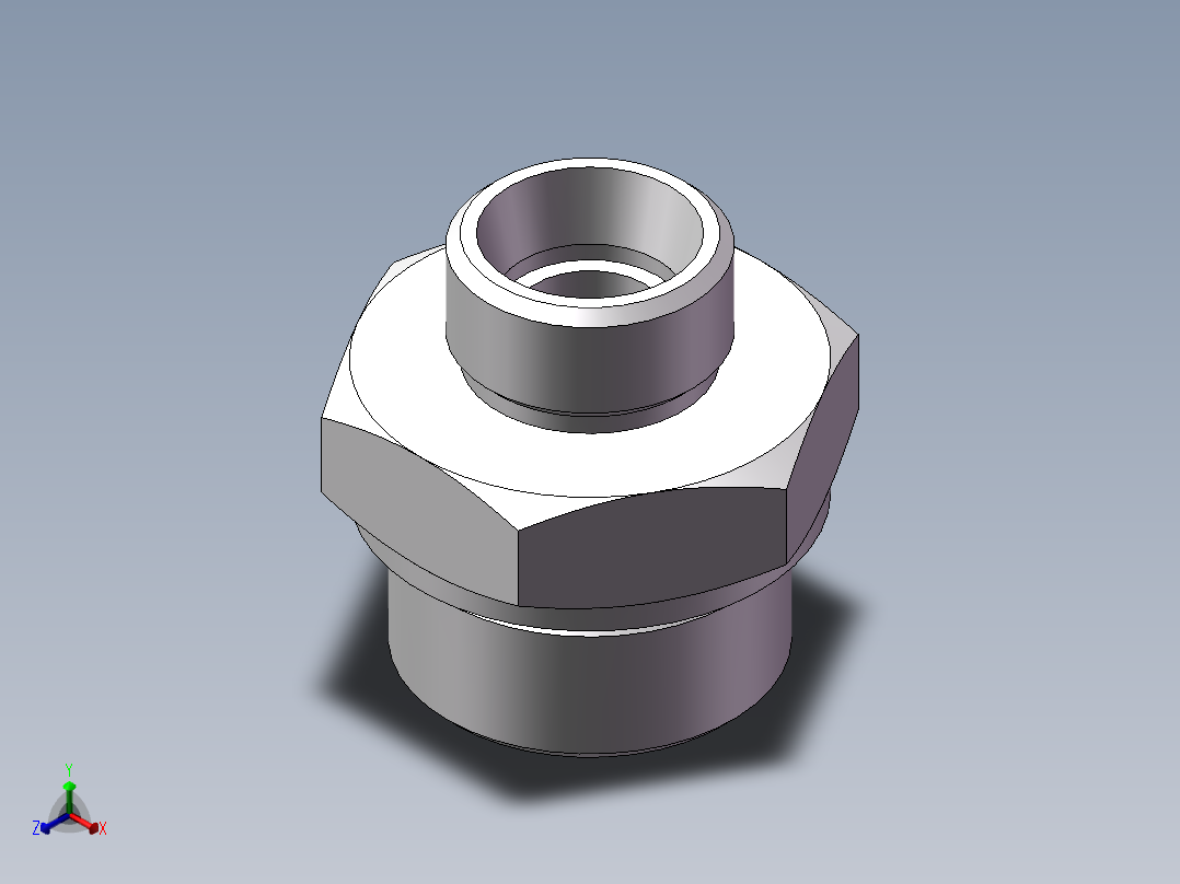 英制管螺纹ED密封、1DB-30-20WD非标正等轴测图