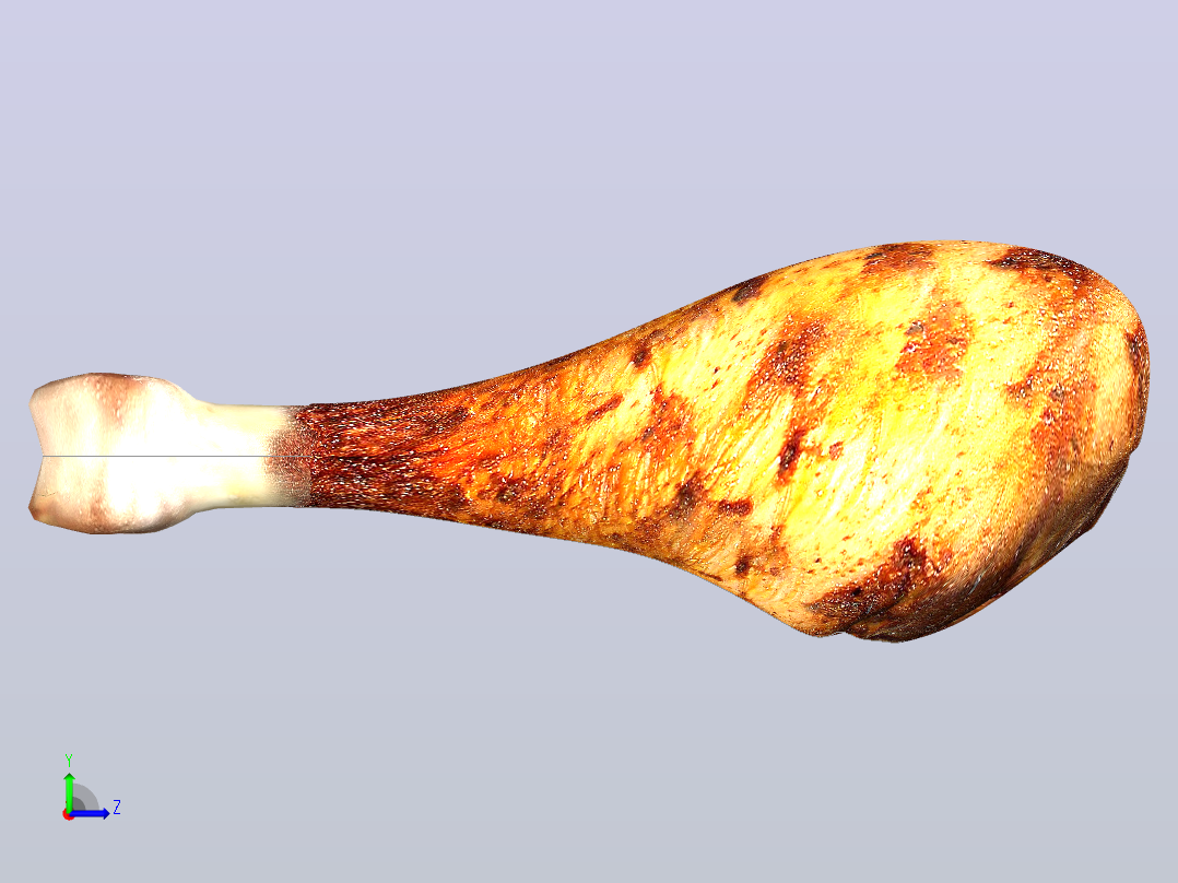 火鸡腿左视图