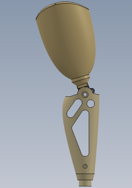 仿真膝盖模型