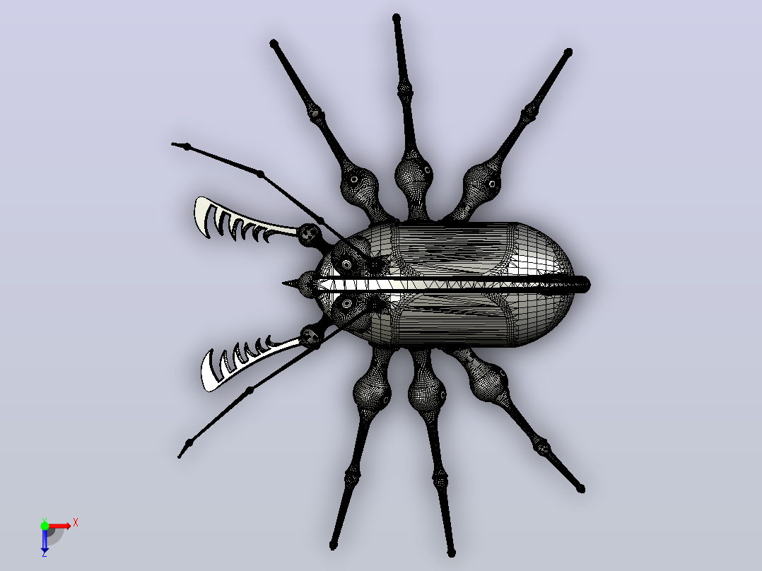 海洋生物鱼类Mister Crawley俯视图