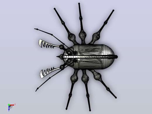 海洋生物鱼类Mister Crawley俯视缩略图