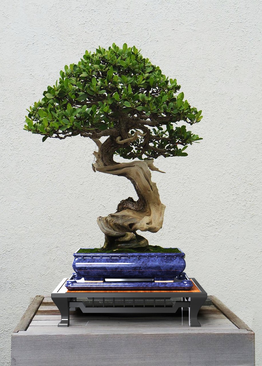 盆景盘“蓝色大理石”