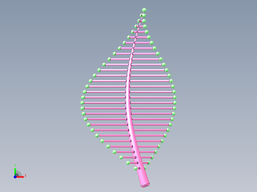 随形变化的树叶前视图