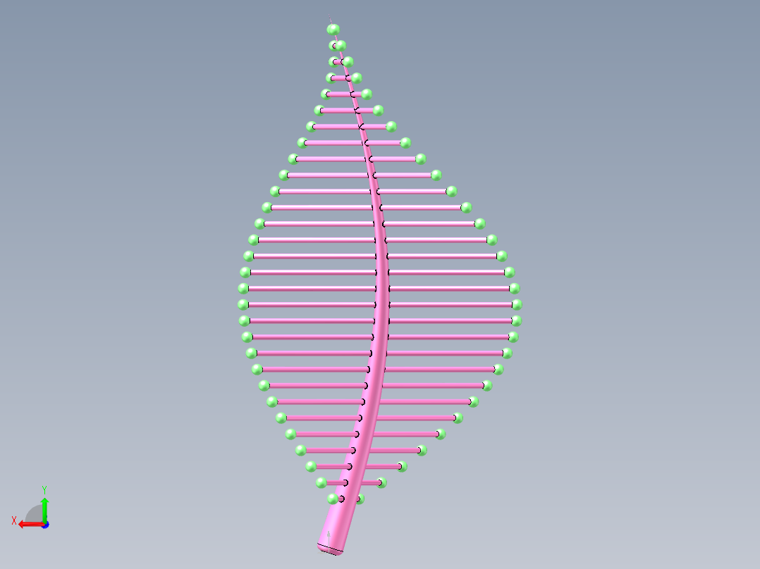 随形变化的树叶后视图