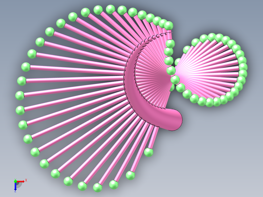 随形变化的树叶俯视图