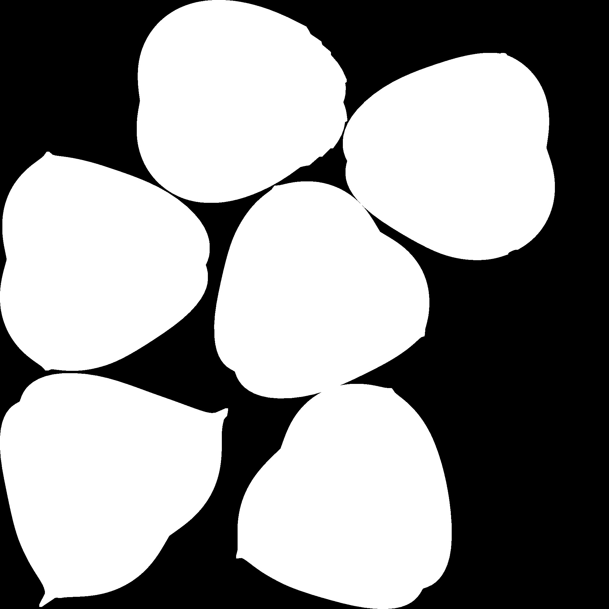 胶龙兽