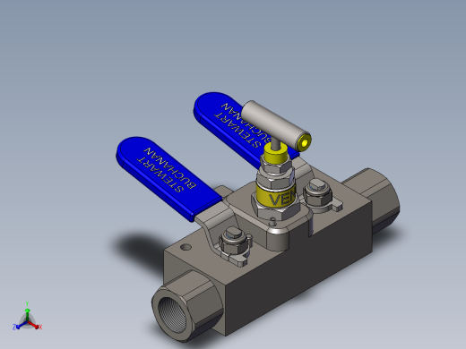 BVN-DBBV直列式双截止阀和放气阀模型