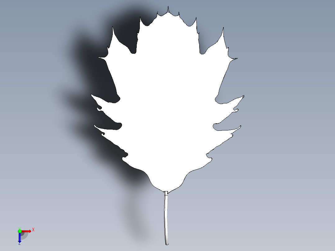 橡树叶子俯视图