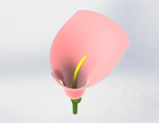 花缩略图
