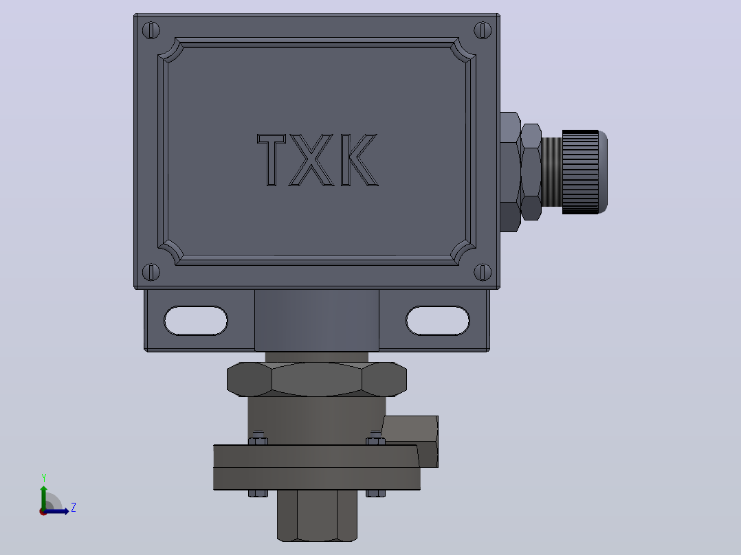 TXK-101差压控制器[TXK-101差压控制器]前视图