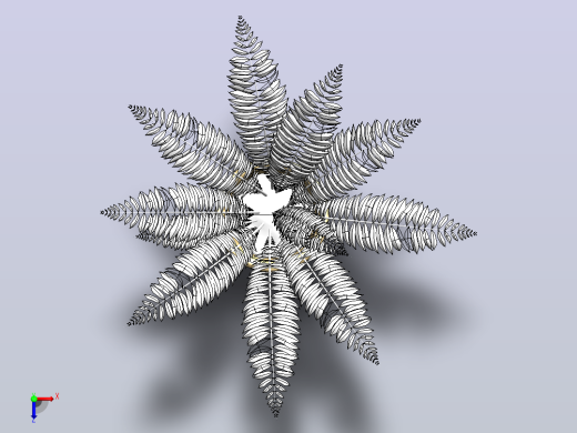 室内植物-大型蕨类植物俯视缩略图