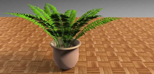 室内植物-大型蕨类植物缩略图
