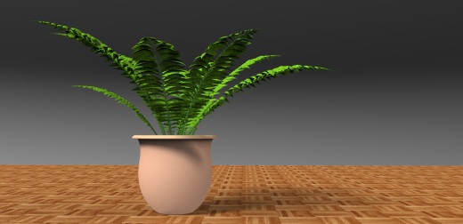 室内植物-大型蕨类植物缩略图