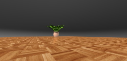 室内植物-大型蕨类植物缩略图