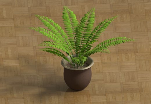 室内植物-大型蕨类植物缩略图