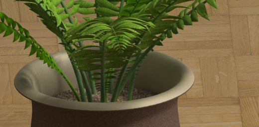 室内植物-大型蕨类植物缩略图