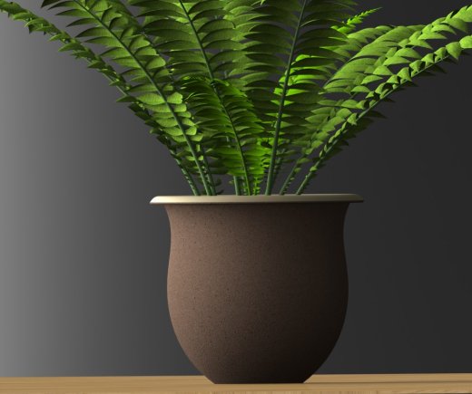 室内植物-大型蕨类植物缩略图