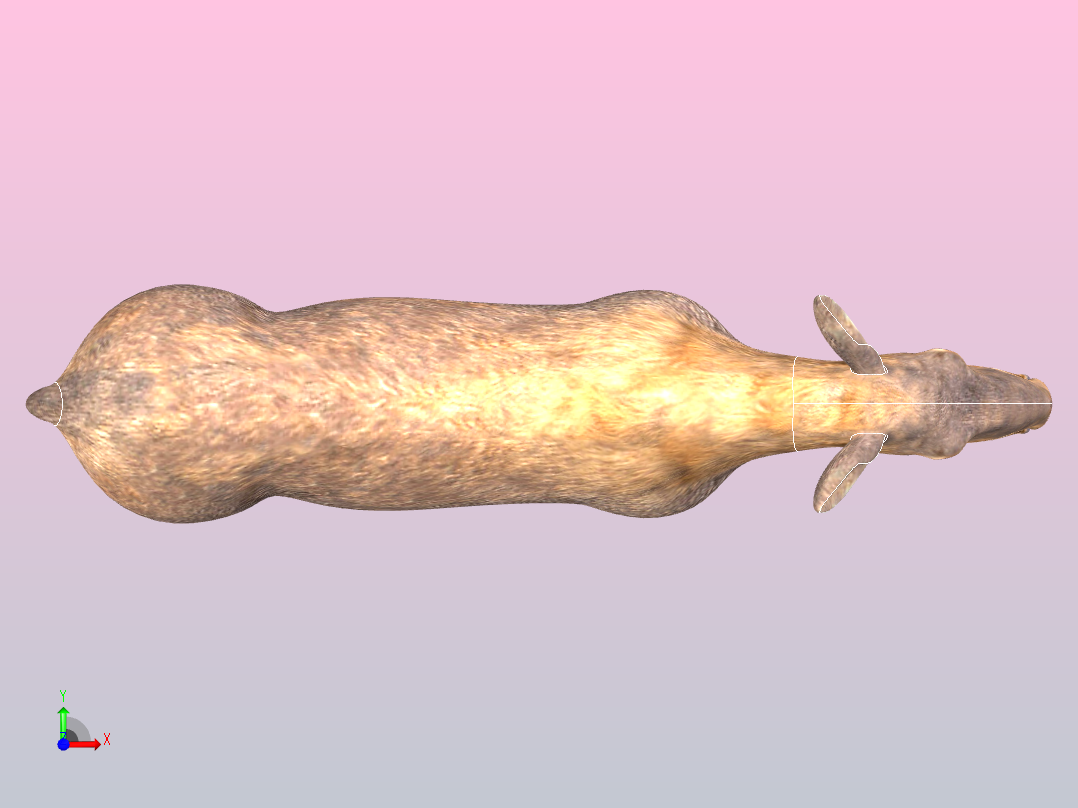 麋鹿的女前视图