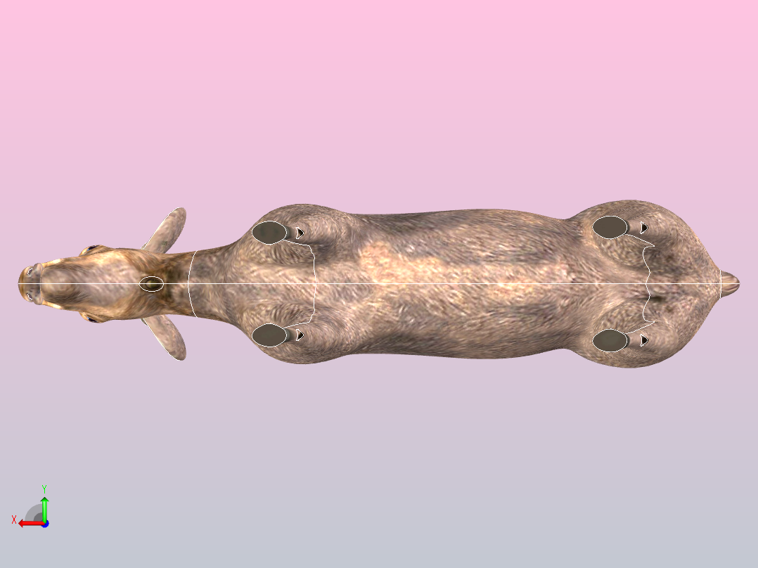 麋鹿的女后视图