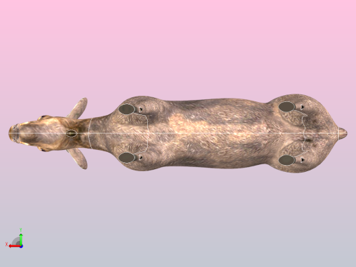 麋鹿的女后视缩略图