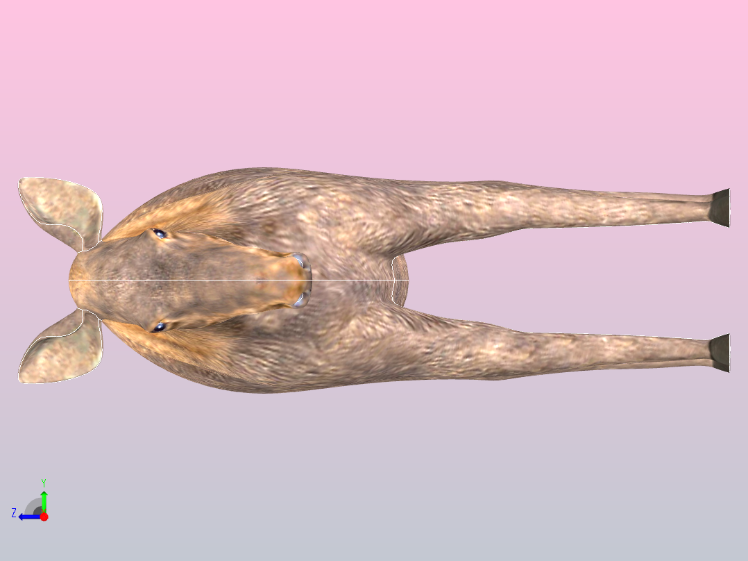 麋鹿的女右视图