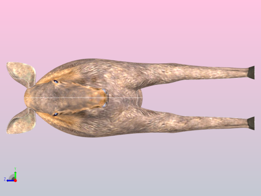 麋鹿的女右视缩略图