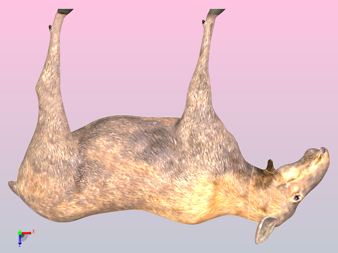 麋鹿的女俯视图