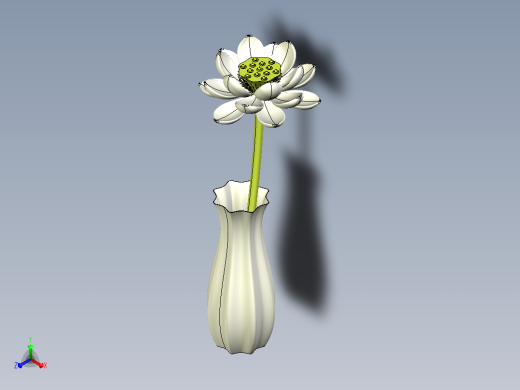 石莲花