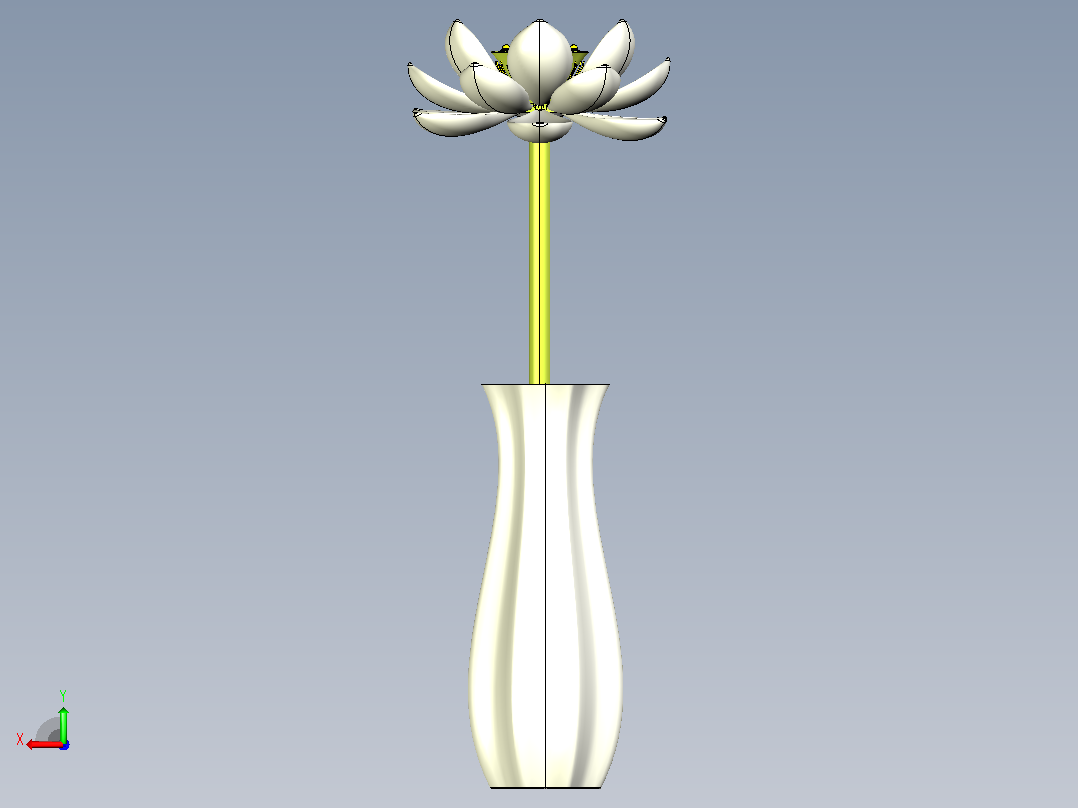 石莲花后视图