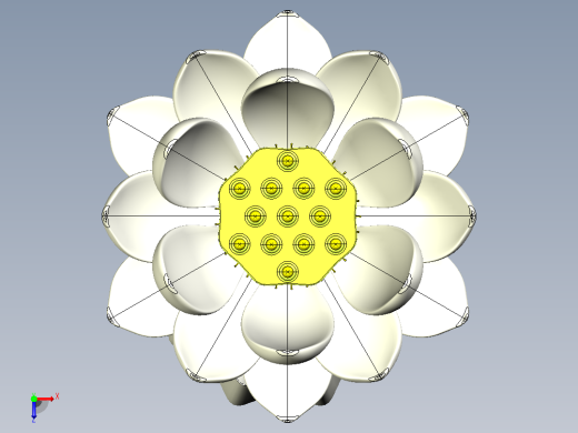 石莲花俯视缩略图