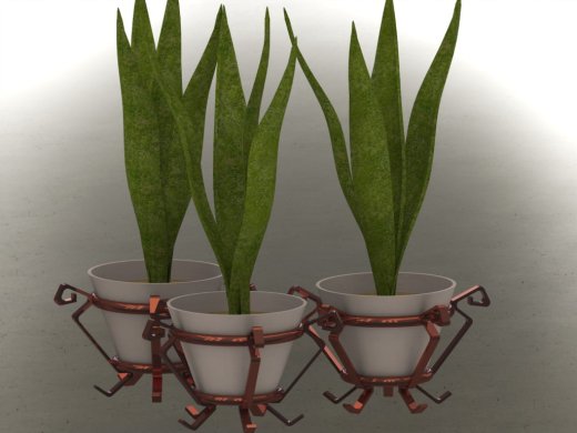 植物和花瓶缩略图