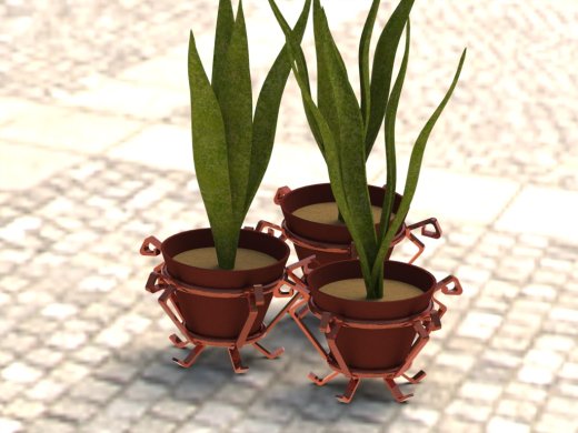 植物和花瓶缩略图