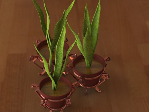 植物和花瓶缩略图