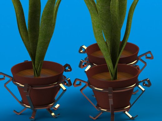 植物和花瓶缩略图